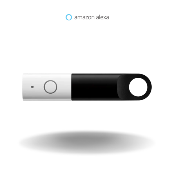 Amazon Dash Wand