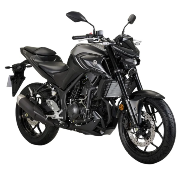 Yamaha MT-25